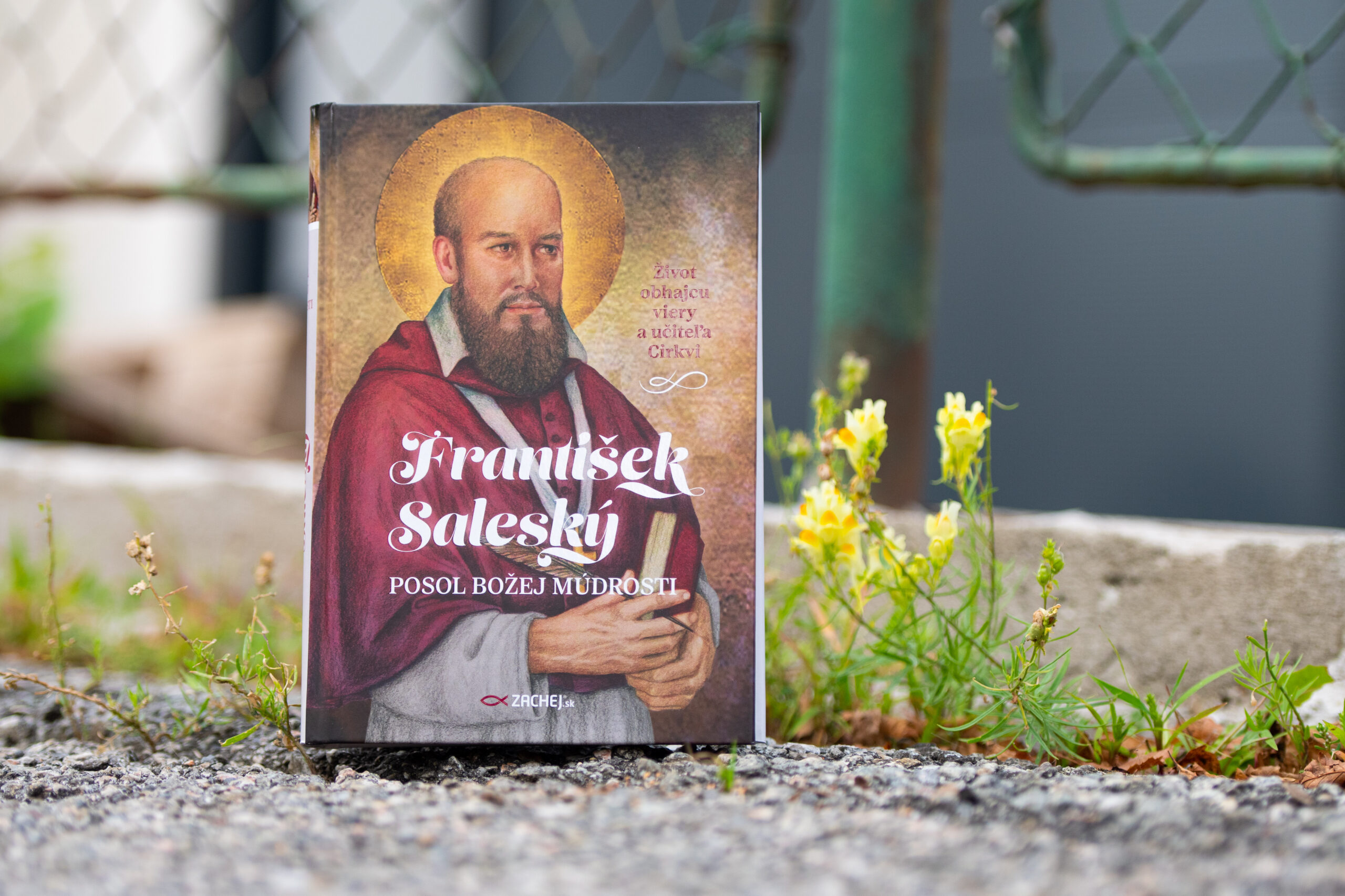 František Saleský Posol Božej múdrosti