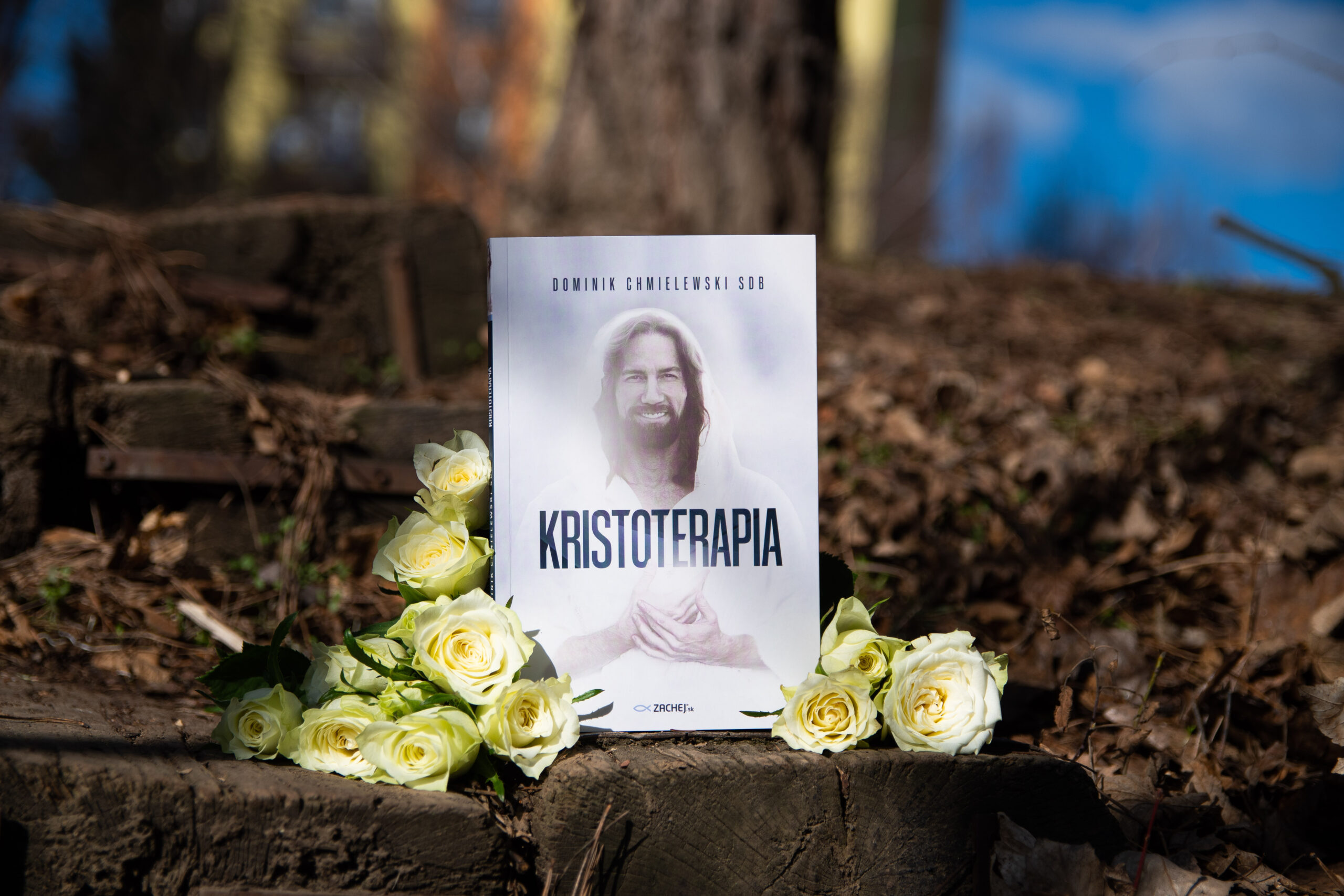 Kristoterapia (kniha)