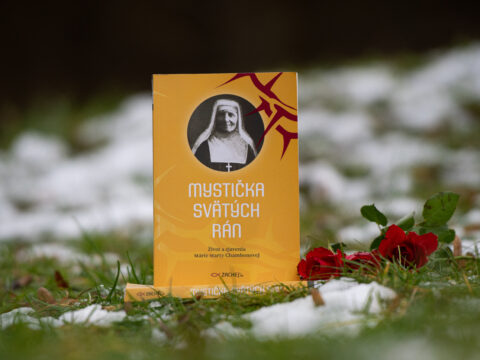 Mystička svätých rán Život a zjavenia Márie Marty Chambonovej
