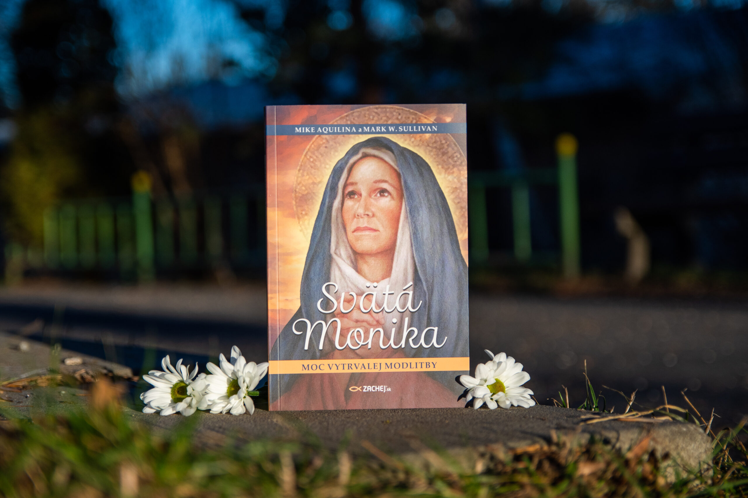 Svätá Monika Moc vytrvalej modlitby (kniha)2